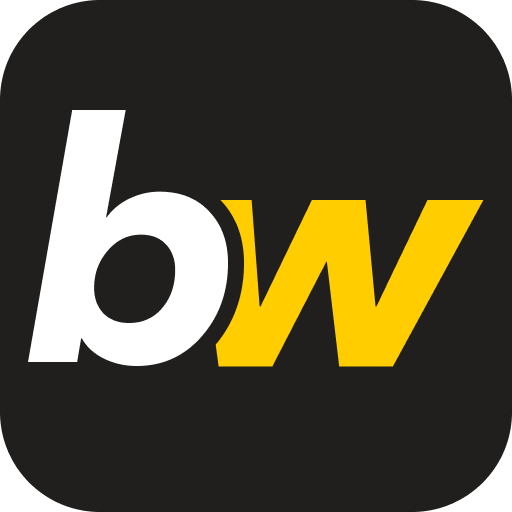 BetWasp Logo